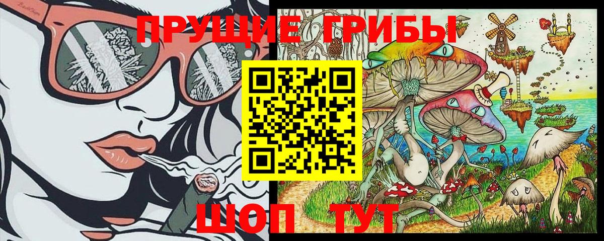 Псилоцибиновые грибы Magic Shrooms Калининград